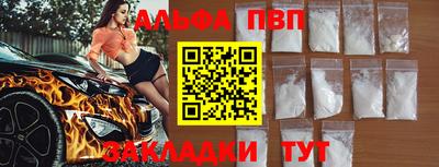 гашик Кингисепп