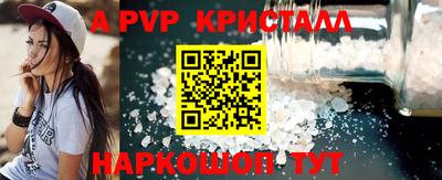 гашик Кингисепп