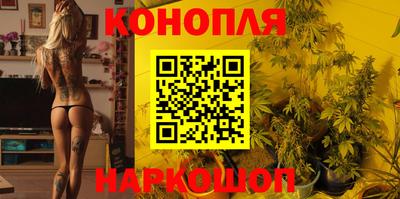 гашик Кингисепп