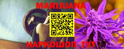 гашик Кингисепп