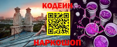 гашик Кингисепп