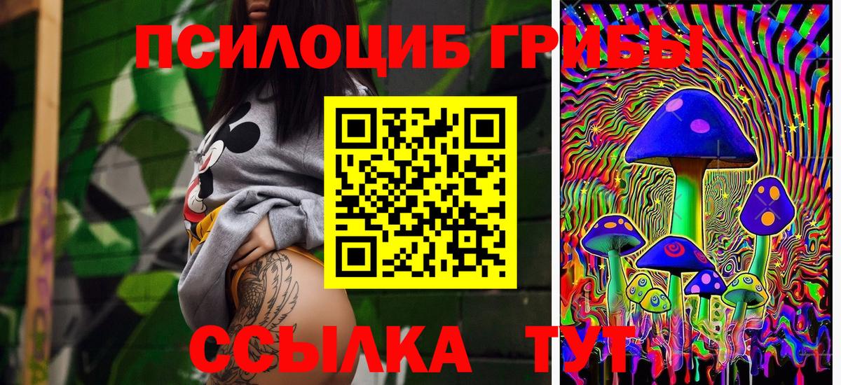 Псилоцибиновые грибы Psilocybe Верхний Уфалей